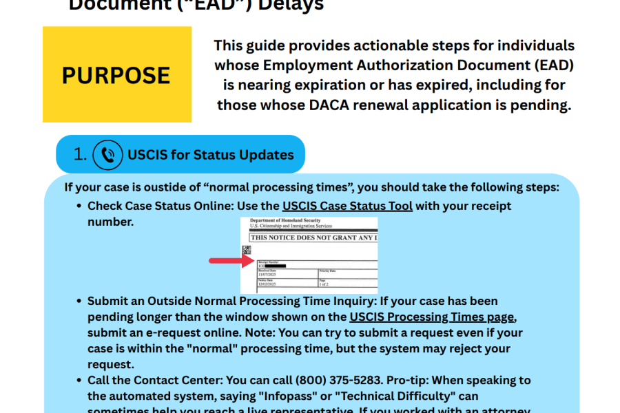 Navigating EAD Delays Infographic
